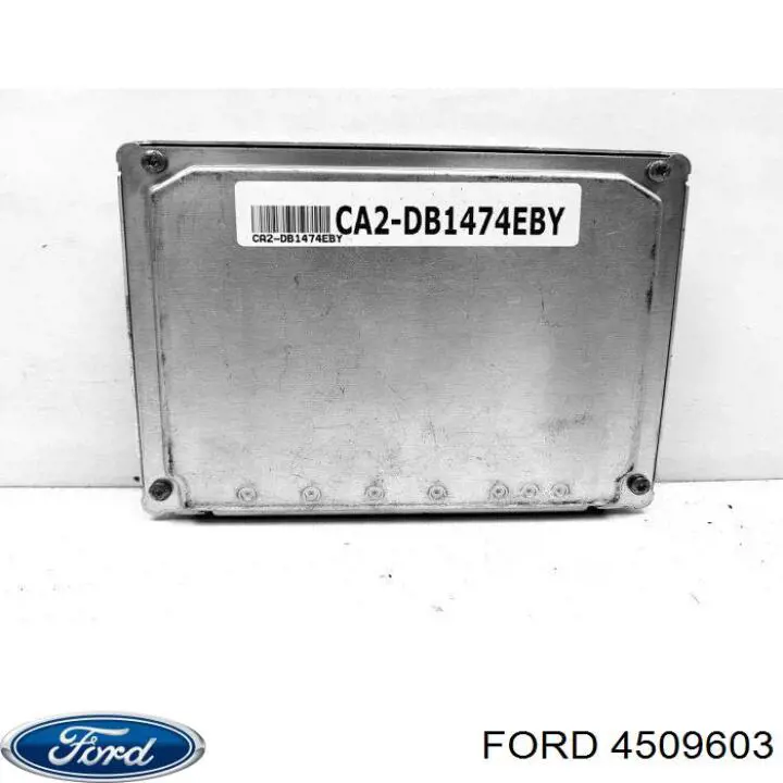 Купить 4509603 Ford Указатели поворота (передние)