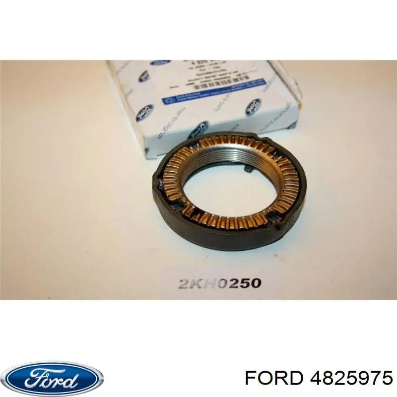  4825975 Ford