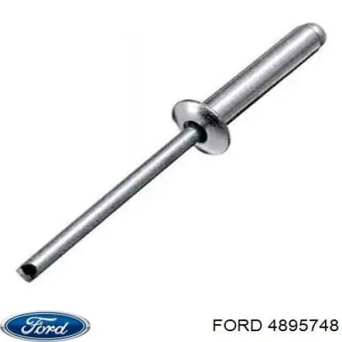 4895748 Ford 