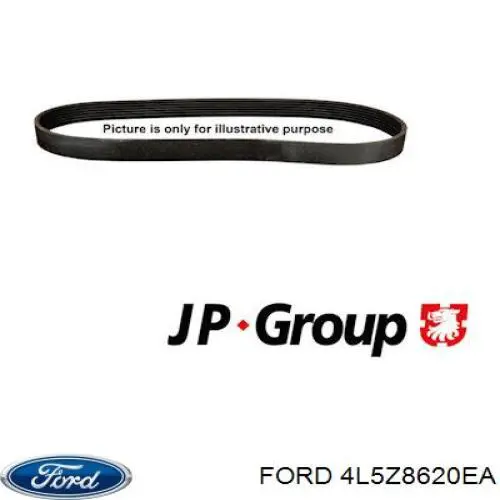 Ремень генератора F77Z8620RA Ford