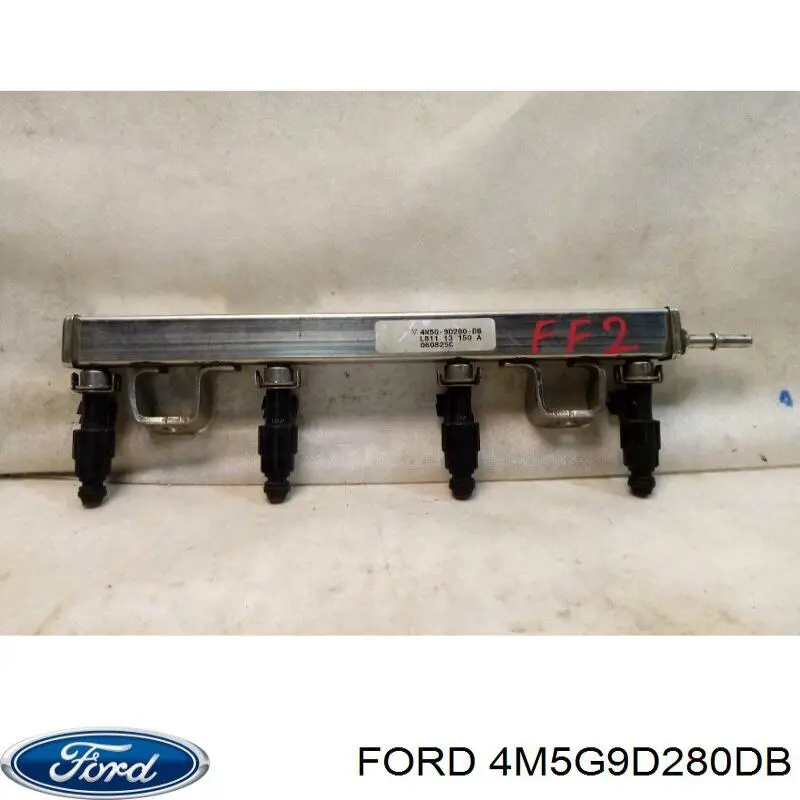 Distribuidor de combustível (rampa) para Ford Focus (DAW)