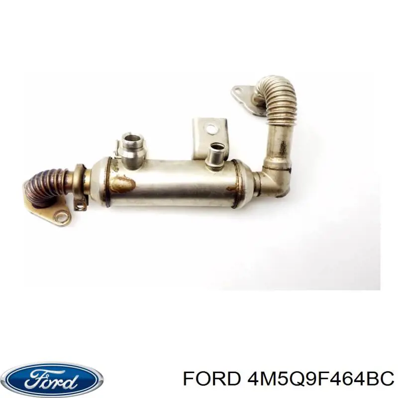 4M5Q9F464BC Ford 