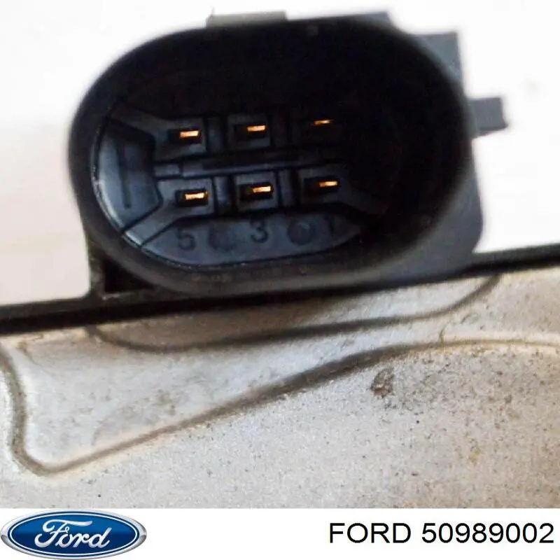 50989002 Ford 