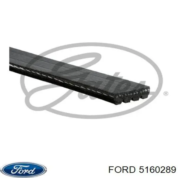 Купить 5160289 Ford Ремень генератора