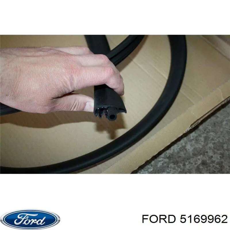 Уплотнитель двери передней правой (на кузове) Ford 5169962 цена, от 34.98 USD