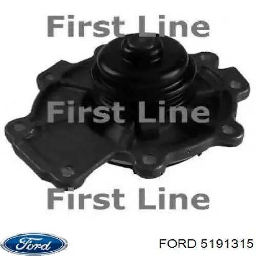 Водяной насос Ford 5191315