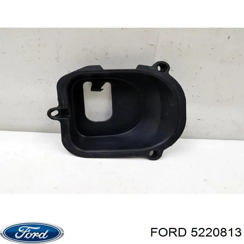5220813 Ford borda (orla das luzes de nevoeiro esquerda)