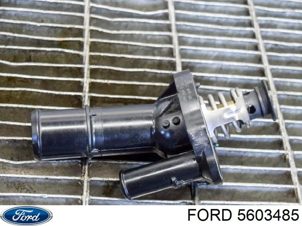  Ford 5603485 цена, от 8.46 USD