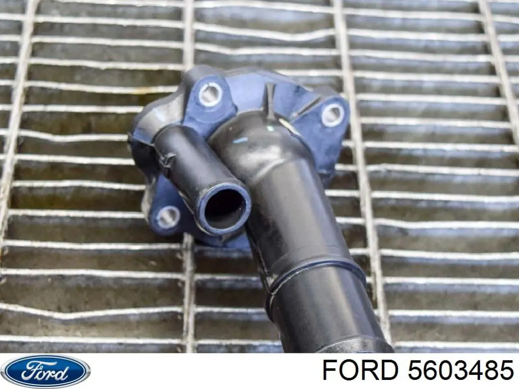  5603485 Ford