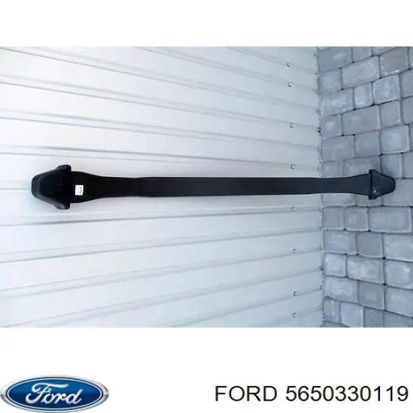 Рессора задняя 5650330119 Ford
