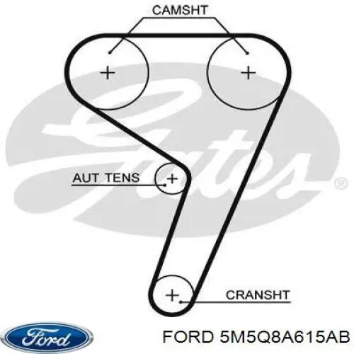 Комплект ГРМ 5M5Q8A615AB Ford