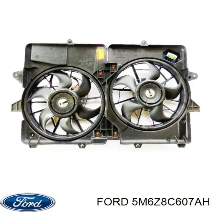  5M6Z8C607AH Ford