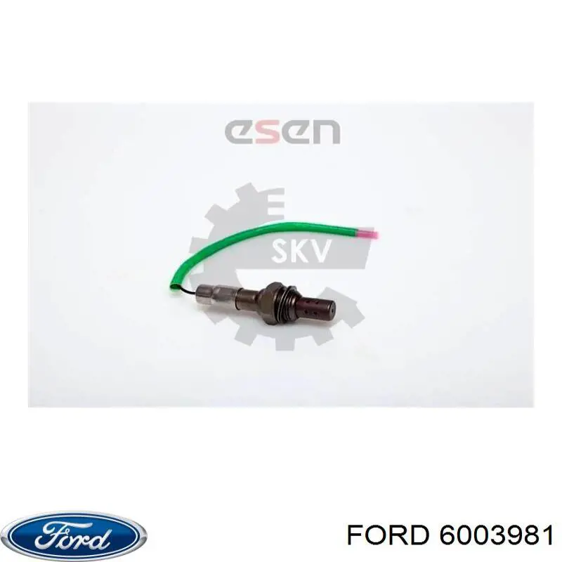 6003981 Ford 