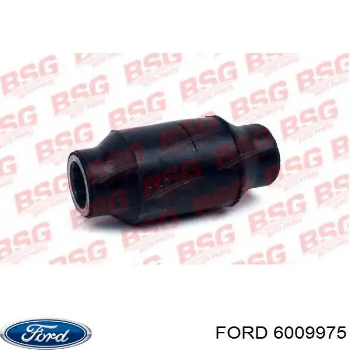  6009975 Ford