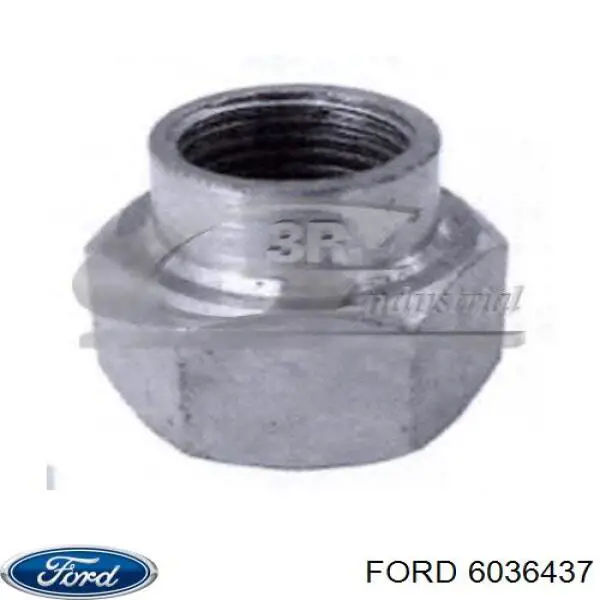 6036437 Ford гайка ступицы передней