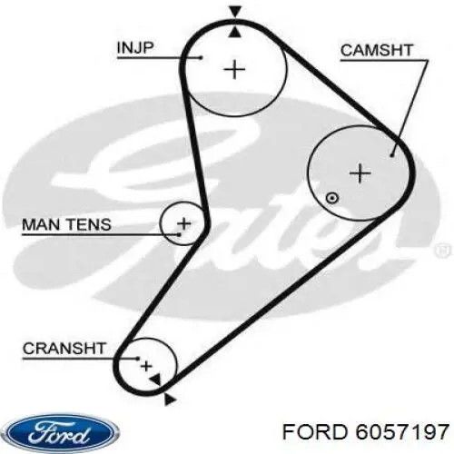 Зубчатый ремень Ford 6057197 цена, от 23.56 USD