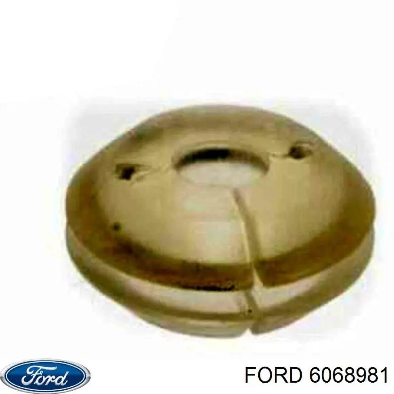 Купить 6068981 Ford 