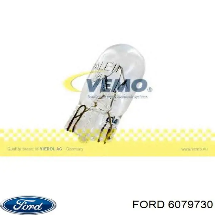 6079730 Ford 