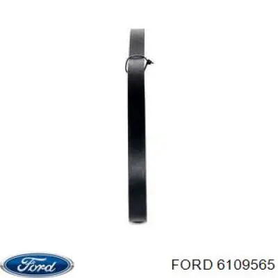 Ремень генератора 6109565 Ford