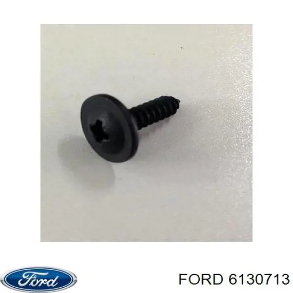 6769287 Ford