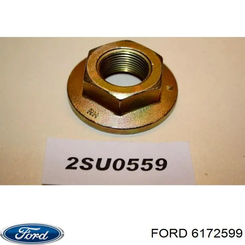  6172599 Ford