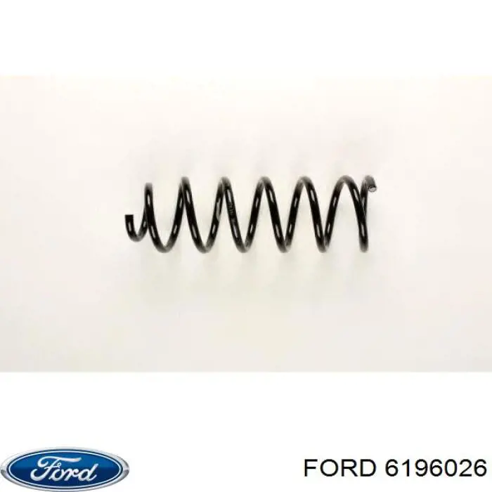 6196026 Ford mola dianteira