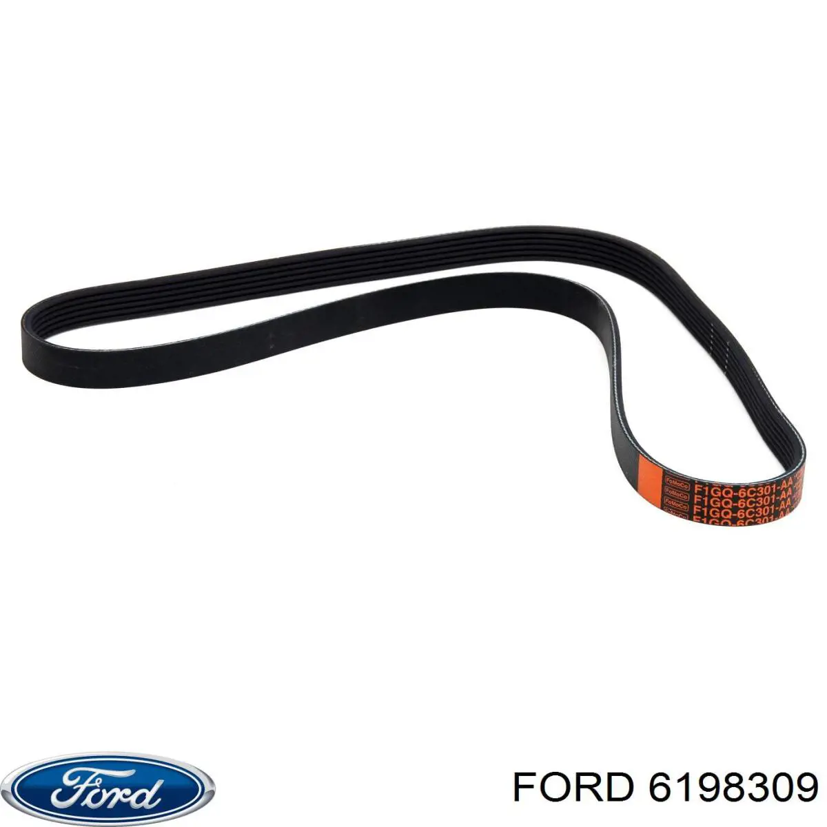 6198309 Ford