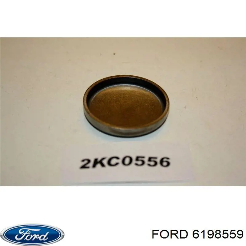 Заглушка ГБЦ 6148254 Ford