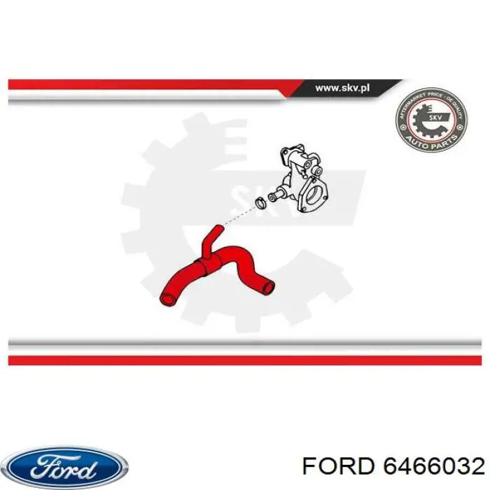  6466032 Ford