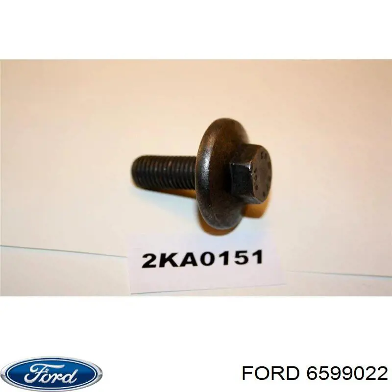  6599022 Ford