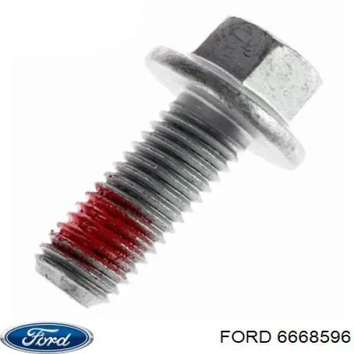 6668596 Ford 