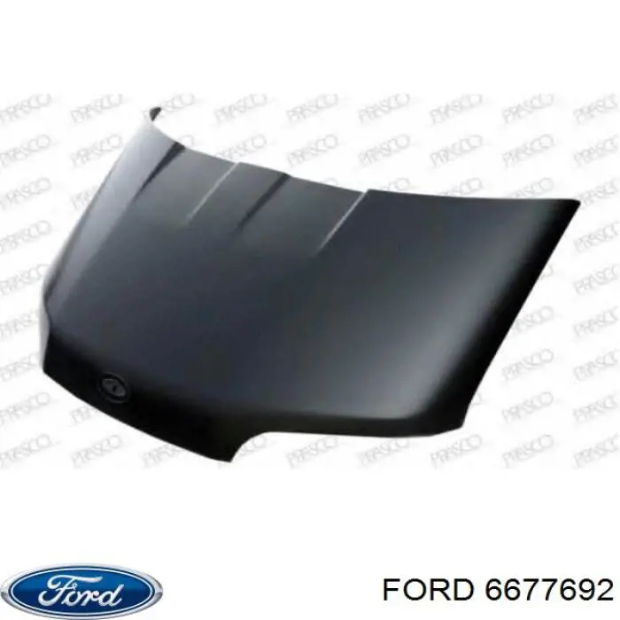 Капот Ford 6677692 цена, от 58.15 USD