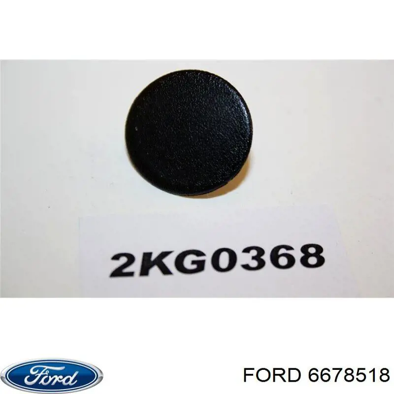 6448410 Ford cápsula (prendedor de isolador térmico da capota)