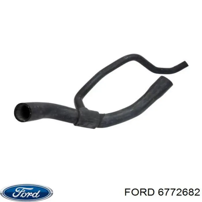 6883067 Ford 