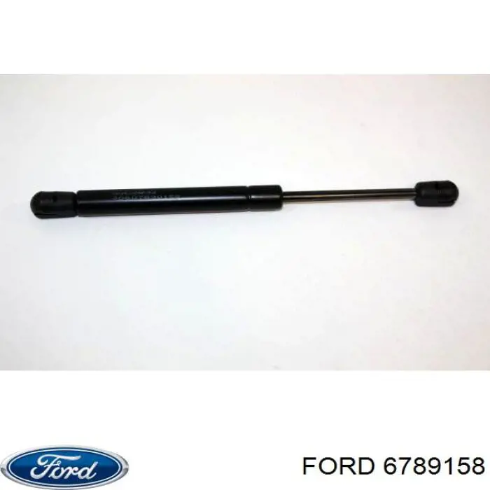 Амортизатор багажника 430719028900 Magneti Marelli