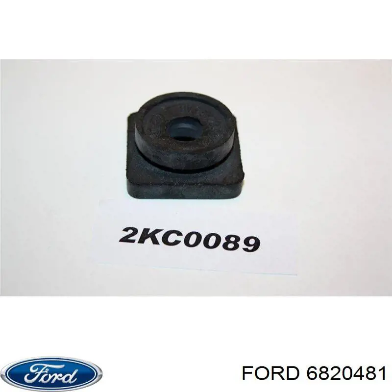 6820481 Ford 