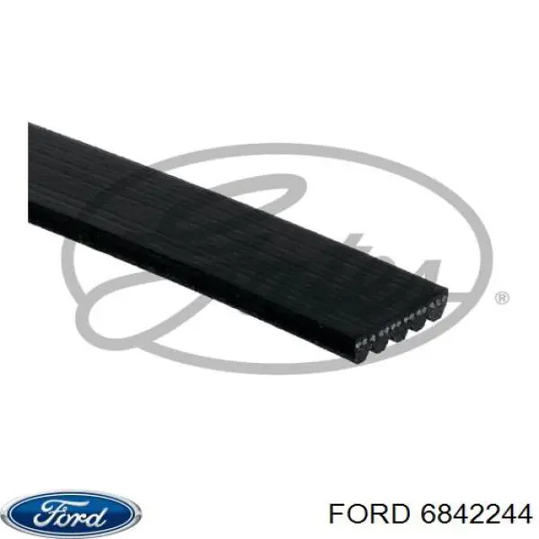 Купить 6842244 Ford Ремень генератора