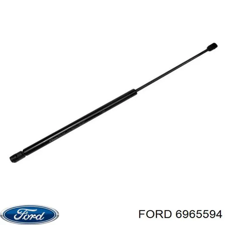  6965594 Ford