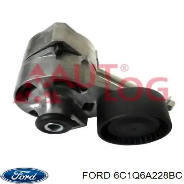 Купить 6C1Q6A228BC Ford Натяжитель приводного ремня