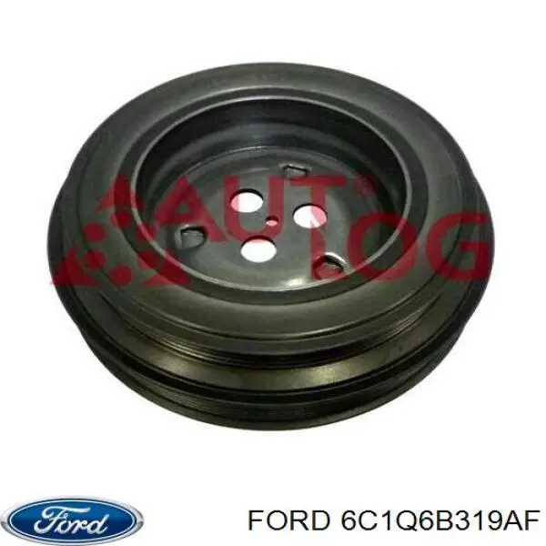 6C1Q6B319AF Ford polia de cambota