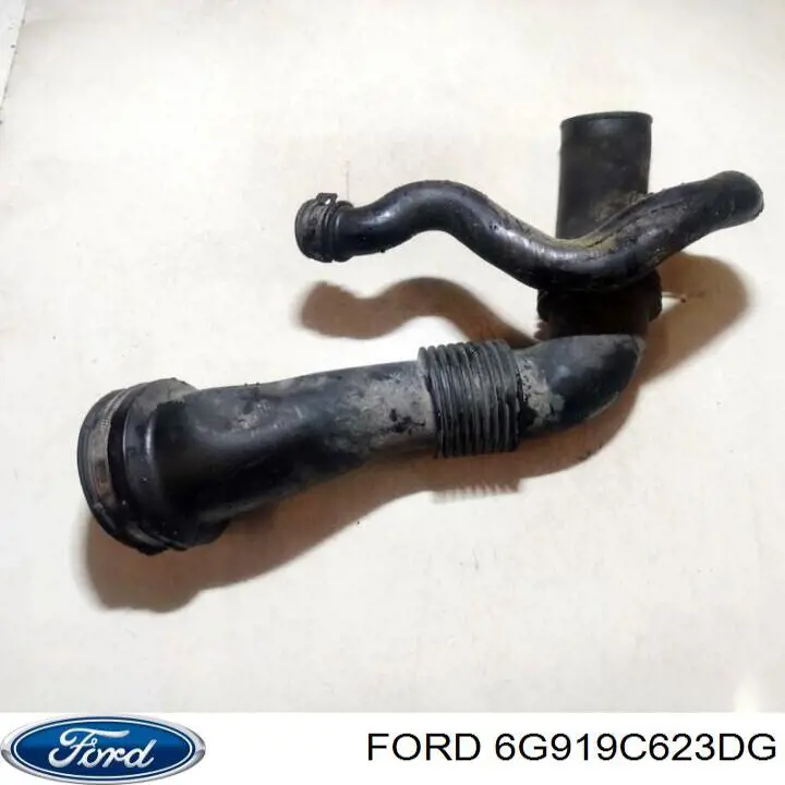 6G919C623DG Ford 