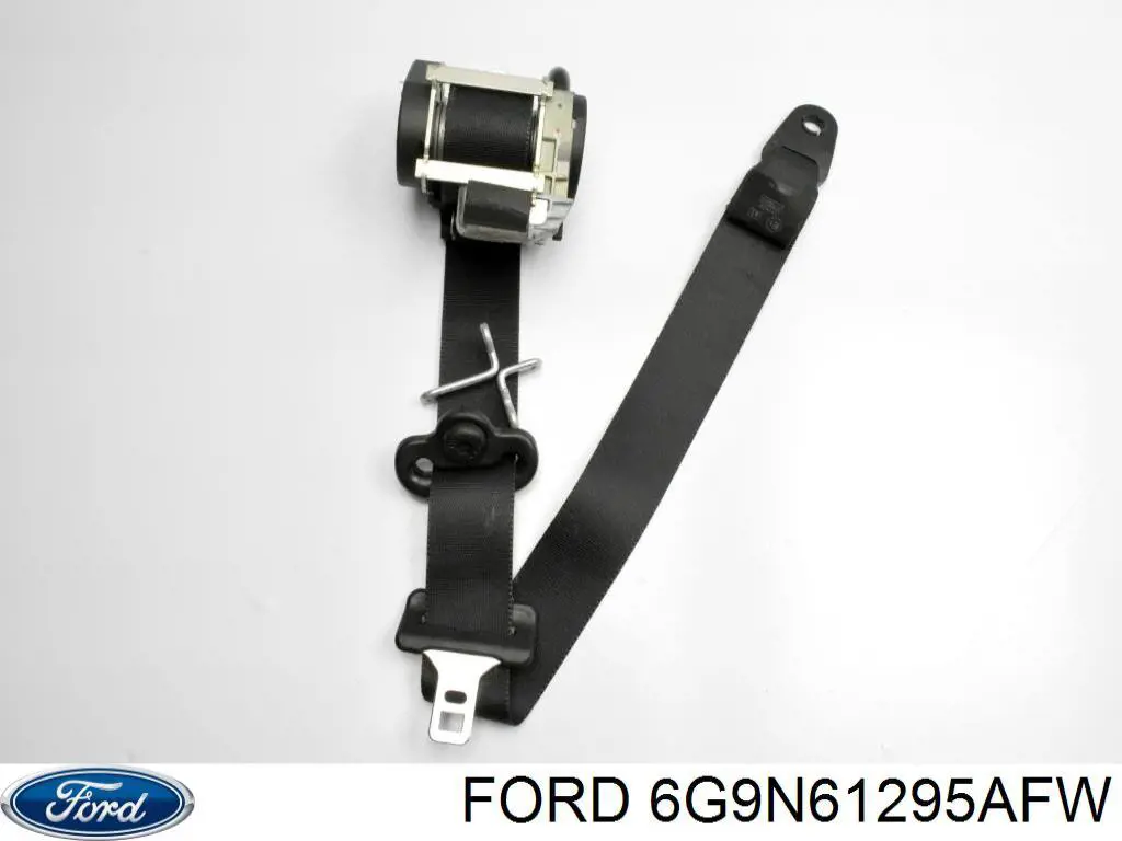 6G9N61295AFW Ford 