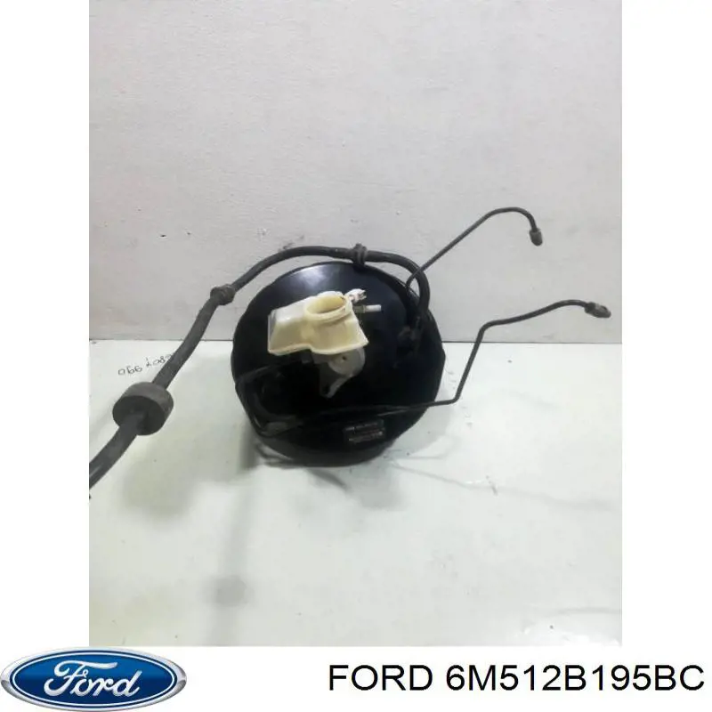  6M512B195BC Ford