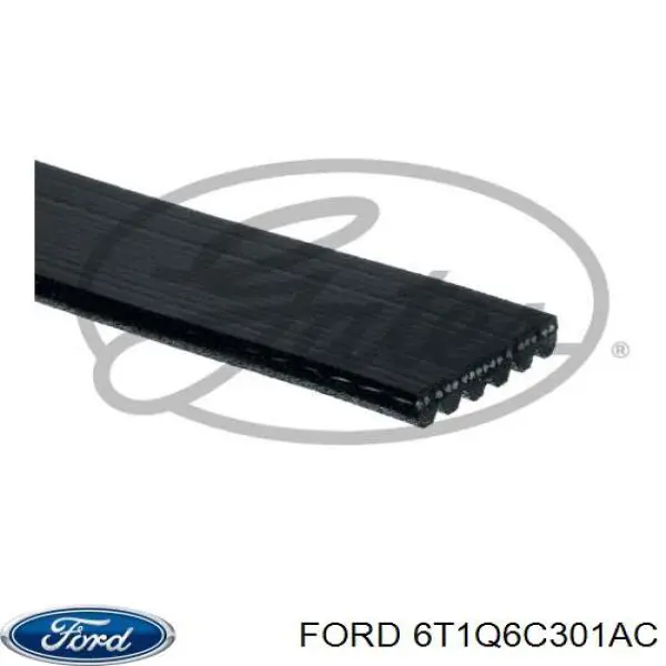 Купить 6T1Q6C301AC Ford Ремень генератора