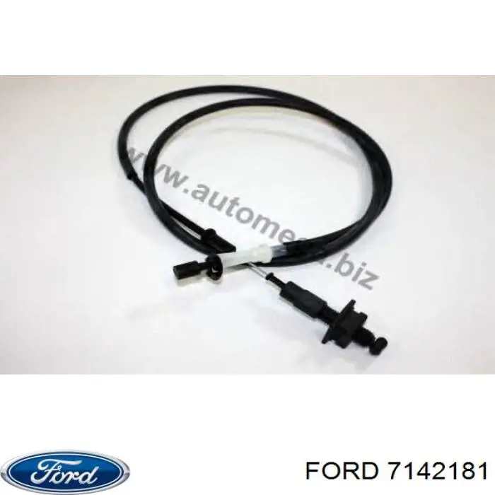 7142181 Ford 