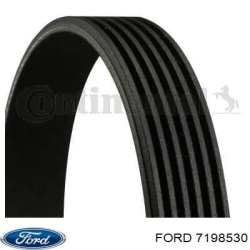 Ремень генератора 7198530 Ford