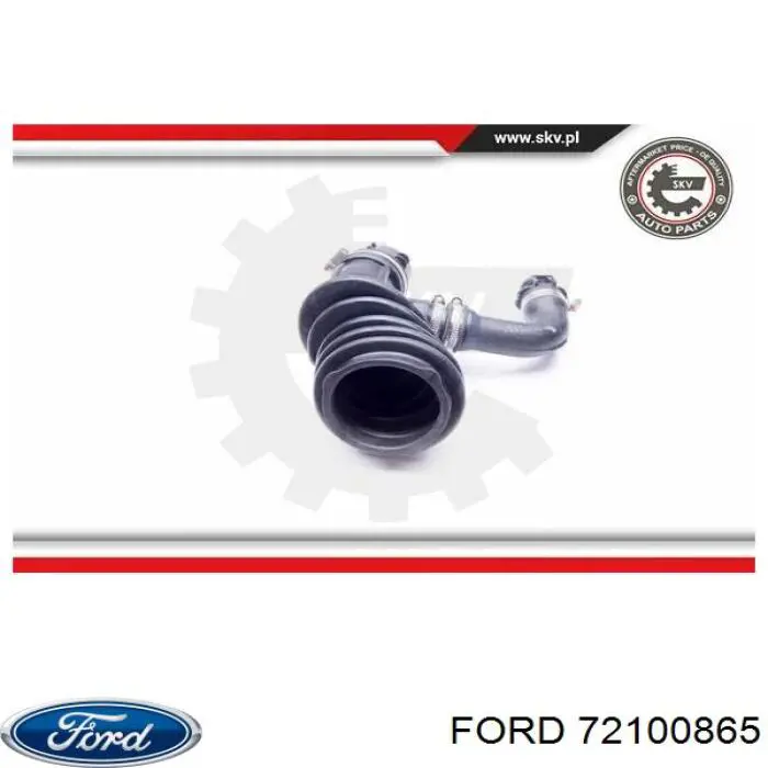 72100865 Ford 