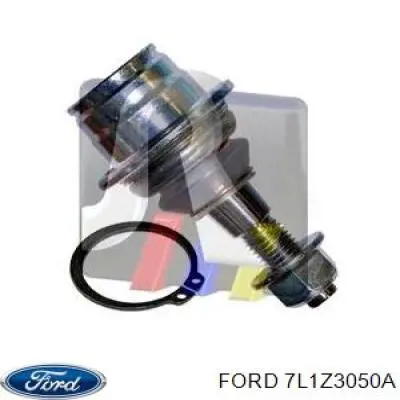 Купить 7L1Z3050A Ford Шаровая опора задней подвески нижняя