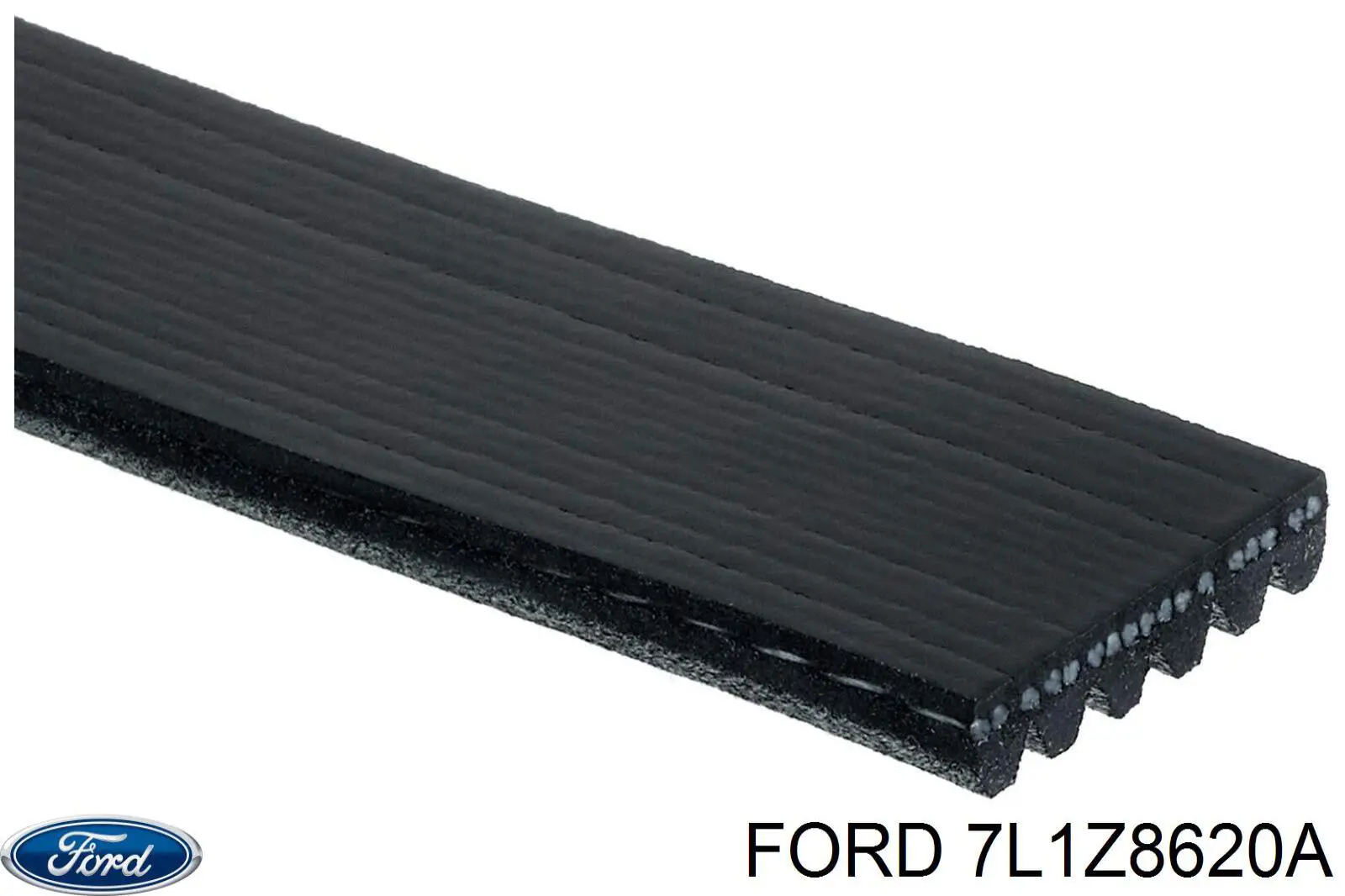 Ремень генератора 7L1Z8620A Ford