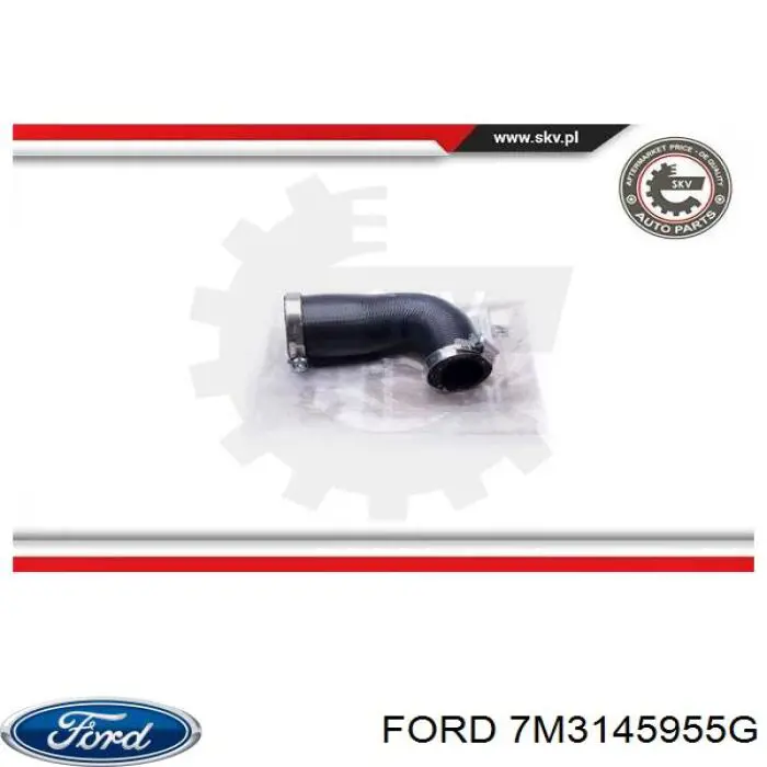 7M3145955G Ford 